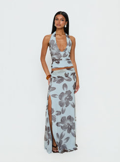   front view of model wearing Princess Polly Roselin Mesh Maxi Skirt Blue Floral 