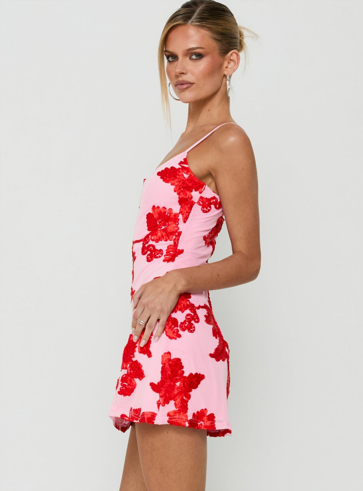 Kareina Scoop Embroidered Mini Dress Pink / Red