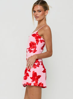 Kareina Scoop Embroidered Mini Dress Pink / Red