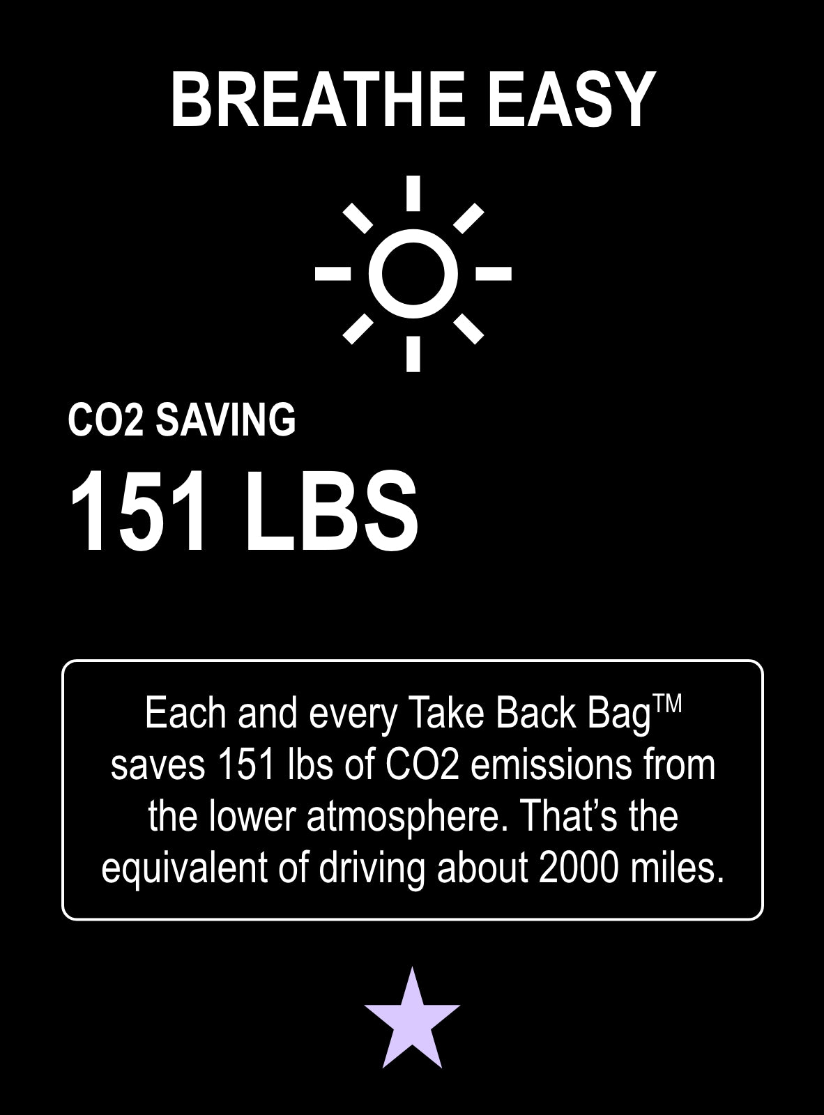 Take Back Bag