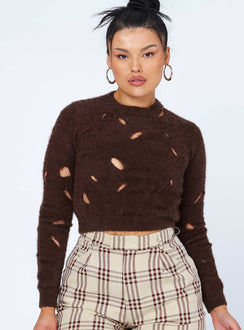 front view of model wearing Princess Polly Astrella Sweater/Jumper Brown Jumpers 