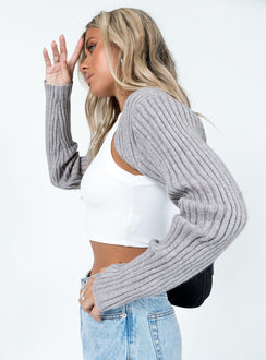 Aytan Bolero Sweater Grey Princess Polly  Cropped 