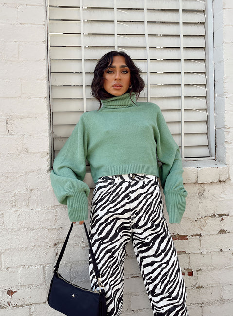 Zahara Cropped Turtleneck Sweater Green Princess Polly  Cropped 