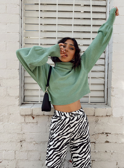 Zahara Cropped Turtleneck Sweater Green Princess Polly  Cropped 